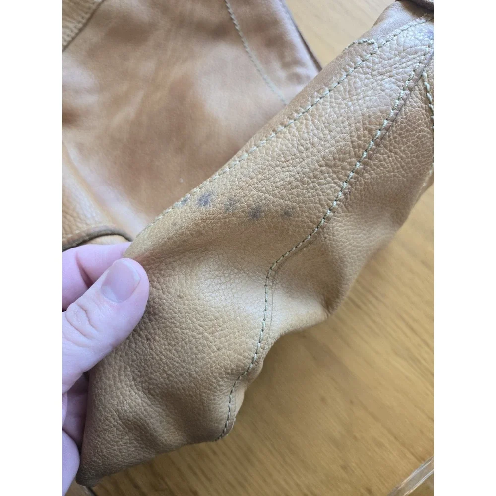 Fossil camel brown